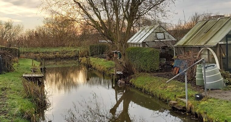 De boom van De Tuin Liefhebber