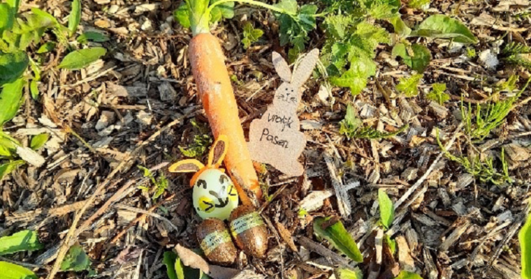 Paashaas